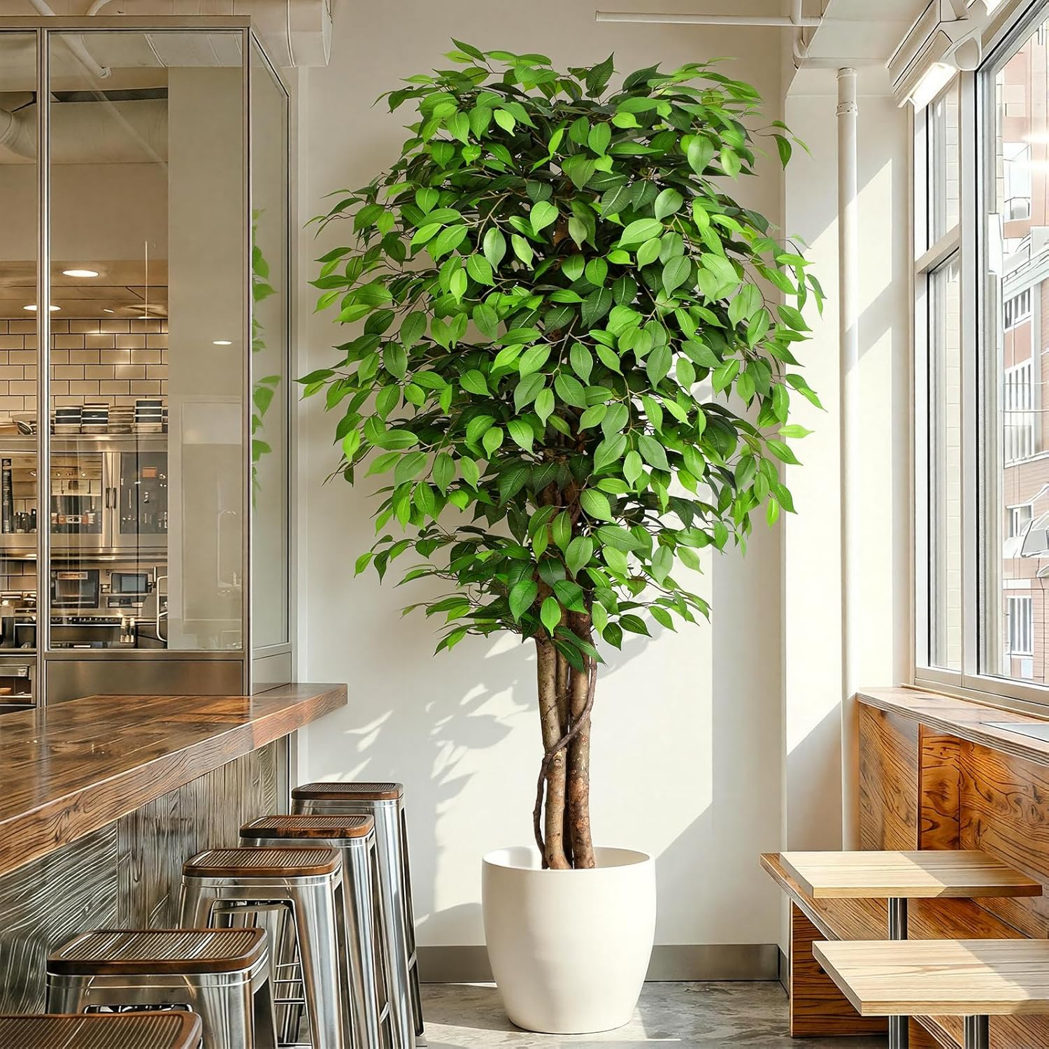 Lifelike Artificial Ficus Tree - đánh giá và giá Dracaena Marginata