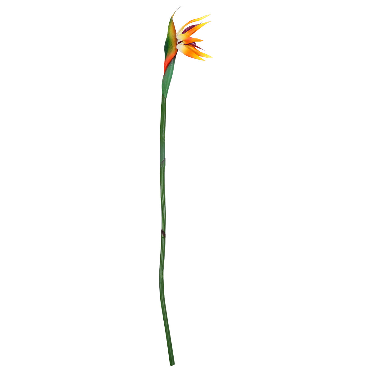 Artificial Bird of Paradise Fl - đánh giá và giá Bird Paradise Strelitzia