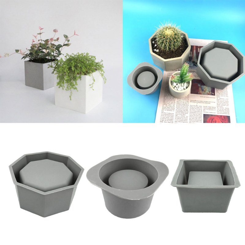 Handmade Succulent Planter Flo - đánh giá và giá Echeveria Succulent