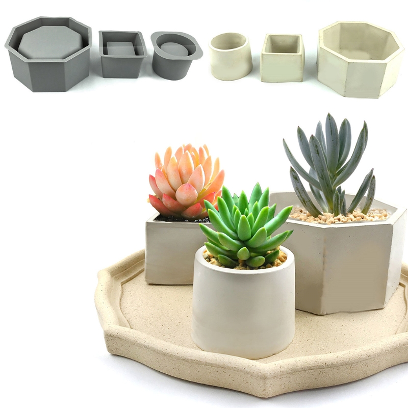 Handmade Succulent Planter Flo - đánh giá và giá Echeveria Succulent
