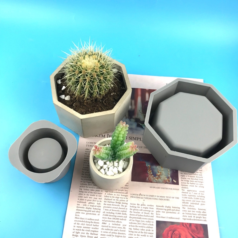 Handmade Succulent Planter Flo - đánh giá và giá Echeveria Succulent