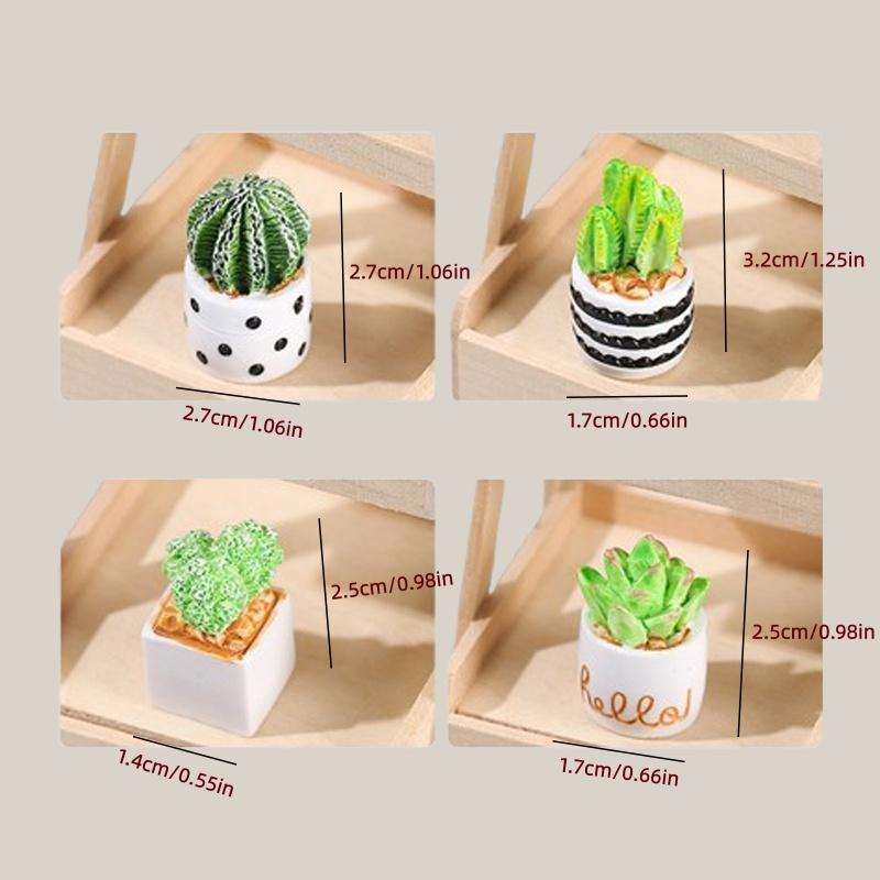 4-Piece Set of Cactus Succulen - đánh giá và giá Echeveria Succulent