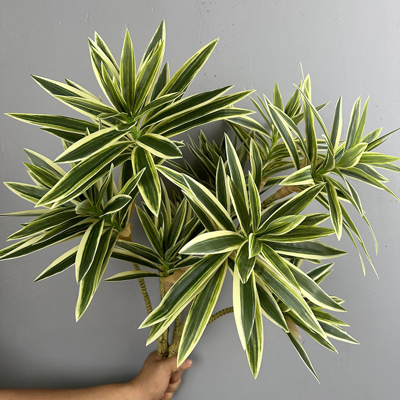 Simulated Green Plants 3 Heads - đánh giá và giá Dracaena Marginata