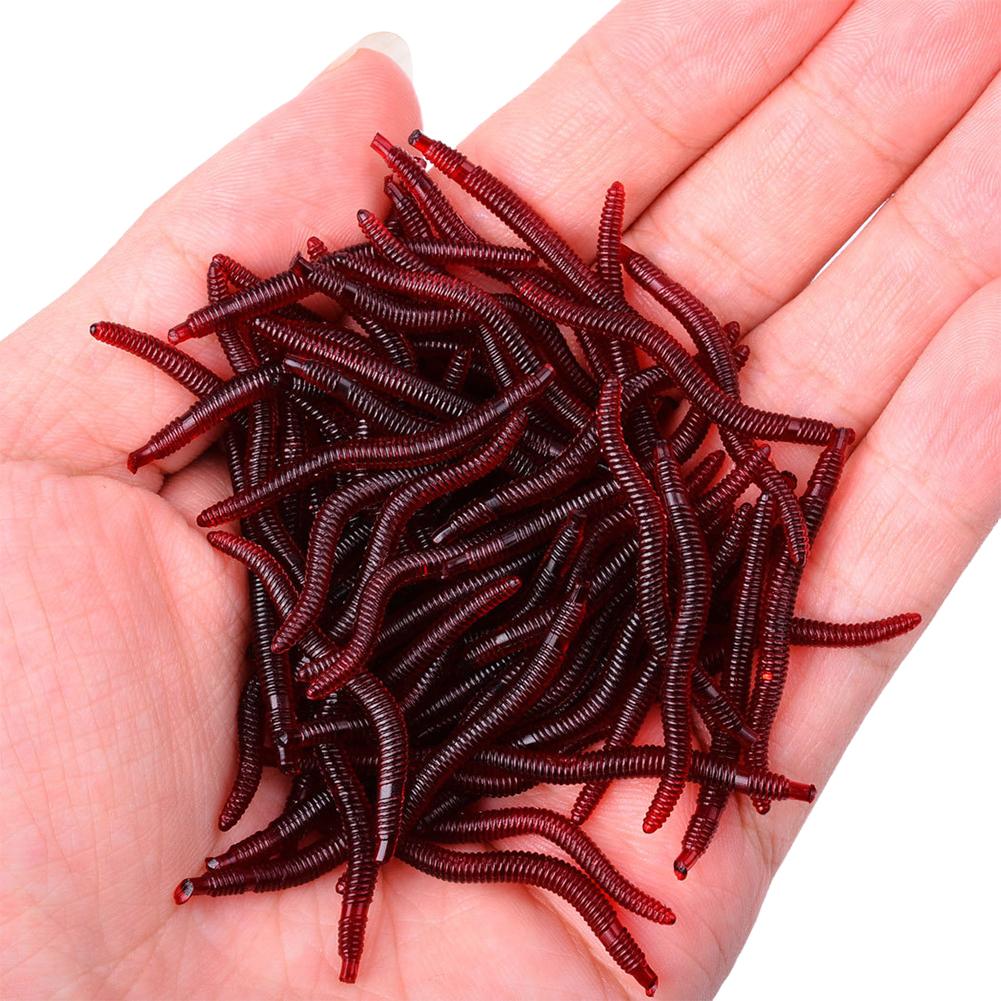 50/100PCS Soft Lure Bass Bream - đánh giá và giá Aglaonema Red