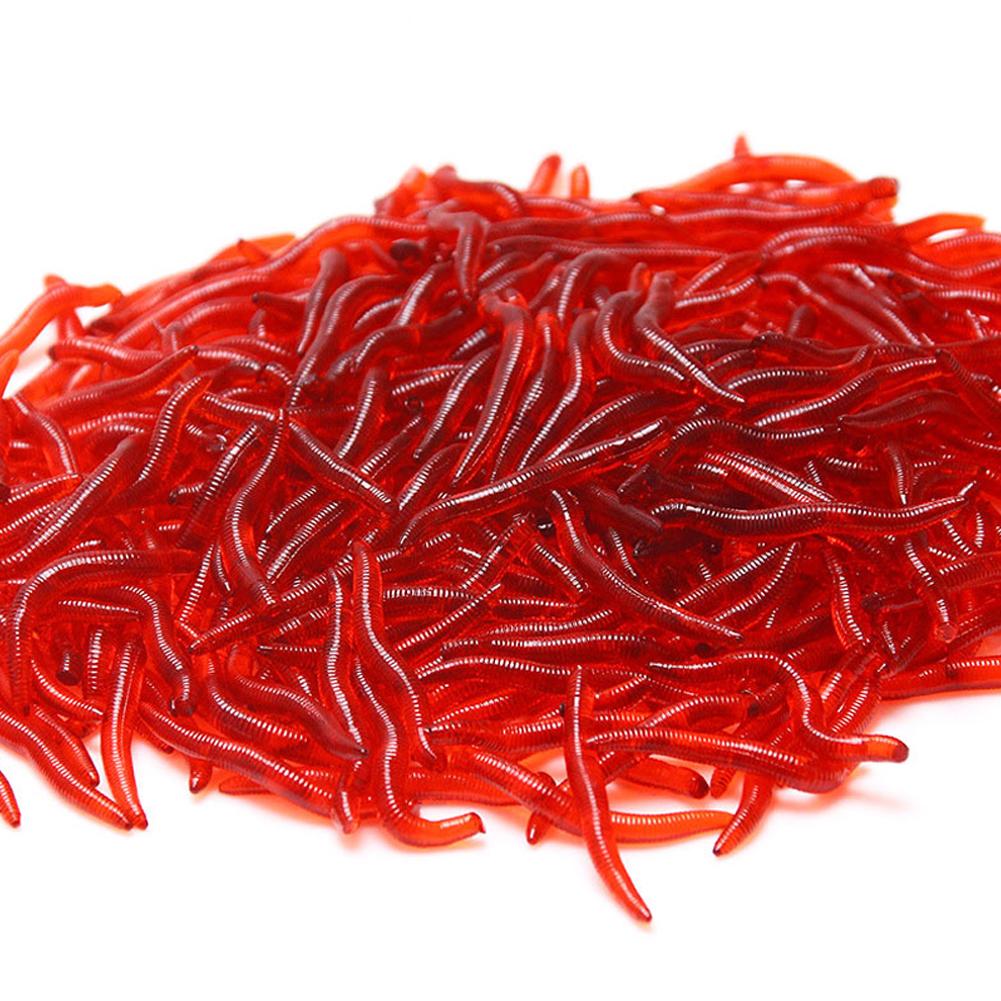 50/100PCS Soft Lure Bass Bream - đánh giá và giá Aglaonema Red